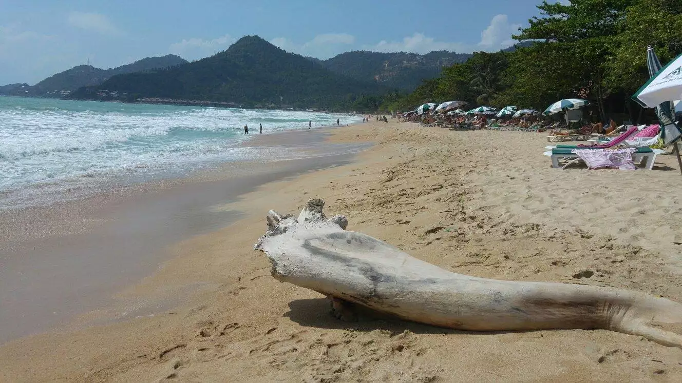 koh samui plage Chaweng Thailande