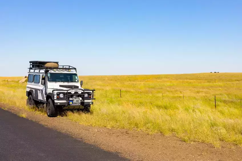 Explorez l’Afrique, destination de découvertes majestueuses