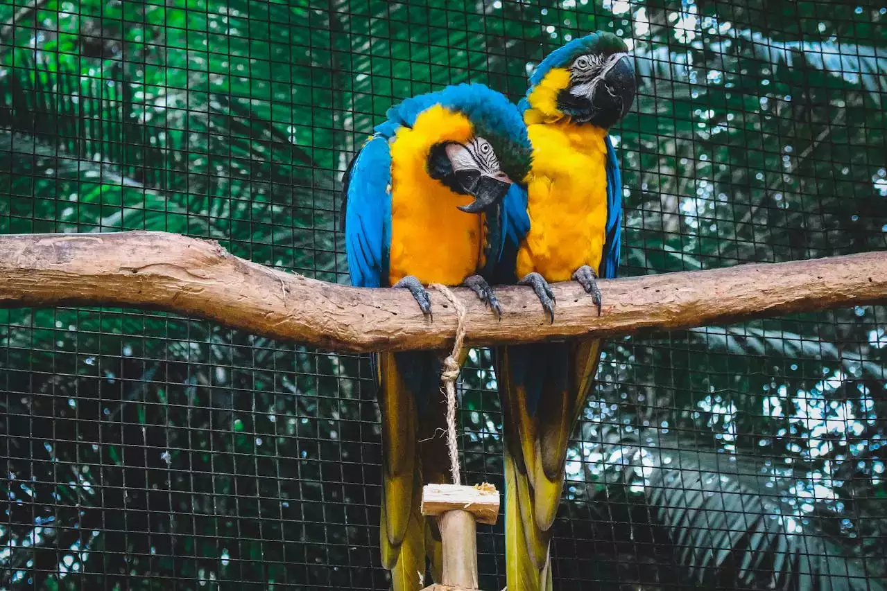 Quel est le prix d’une entrée pour le Zoo de Beauval ?