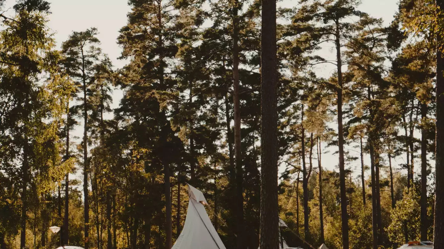 Camping 5 étoiles pas cher à Biscarrosse : à quoi s’attendre vraiment pour des vacances haut de gamme ?