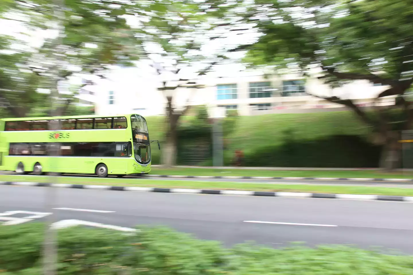 bus route