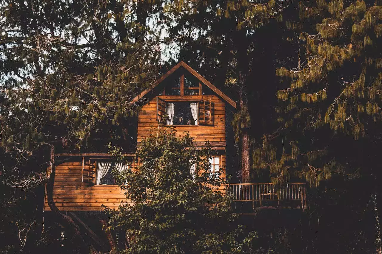 cabane dans les arbres