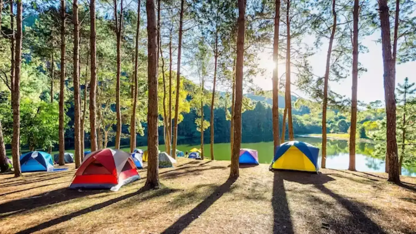 Séjour au camping à Lacanau : profiter du meilleur pour ses vacances en Nouvelle-Aquitaine