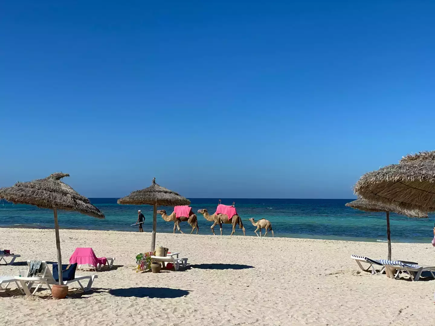 Partir à Djerba au mois d'Octobre ? Notre avis !