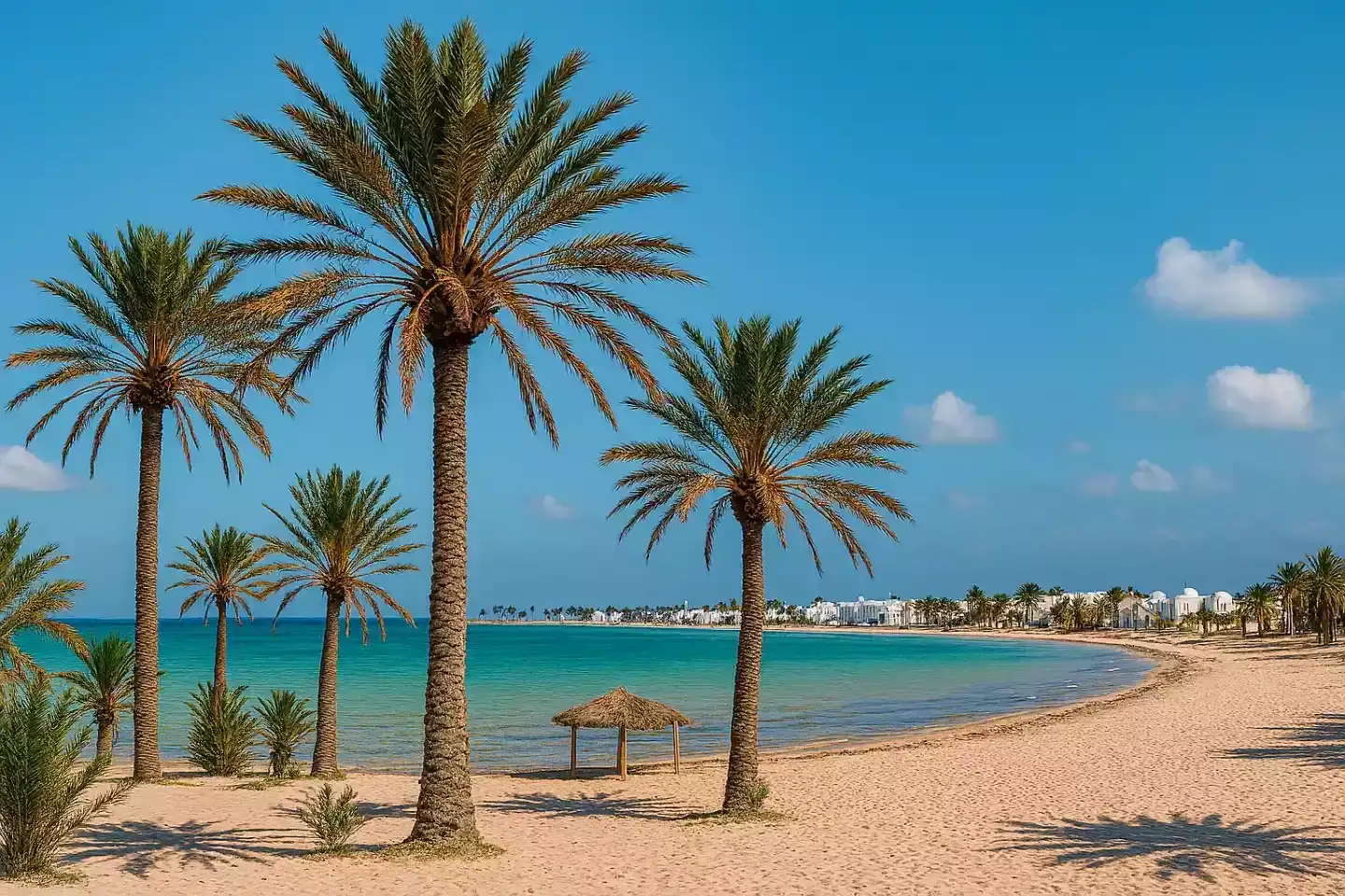 Partir à Djerba au mois de Décembre ? Notre avis !