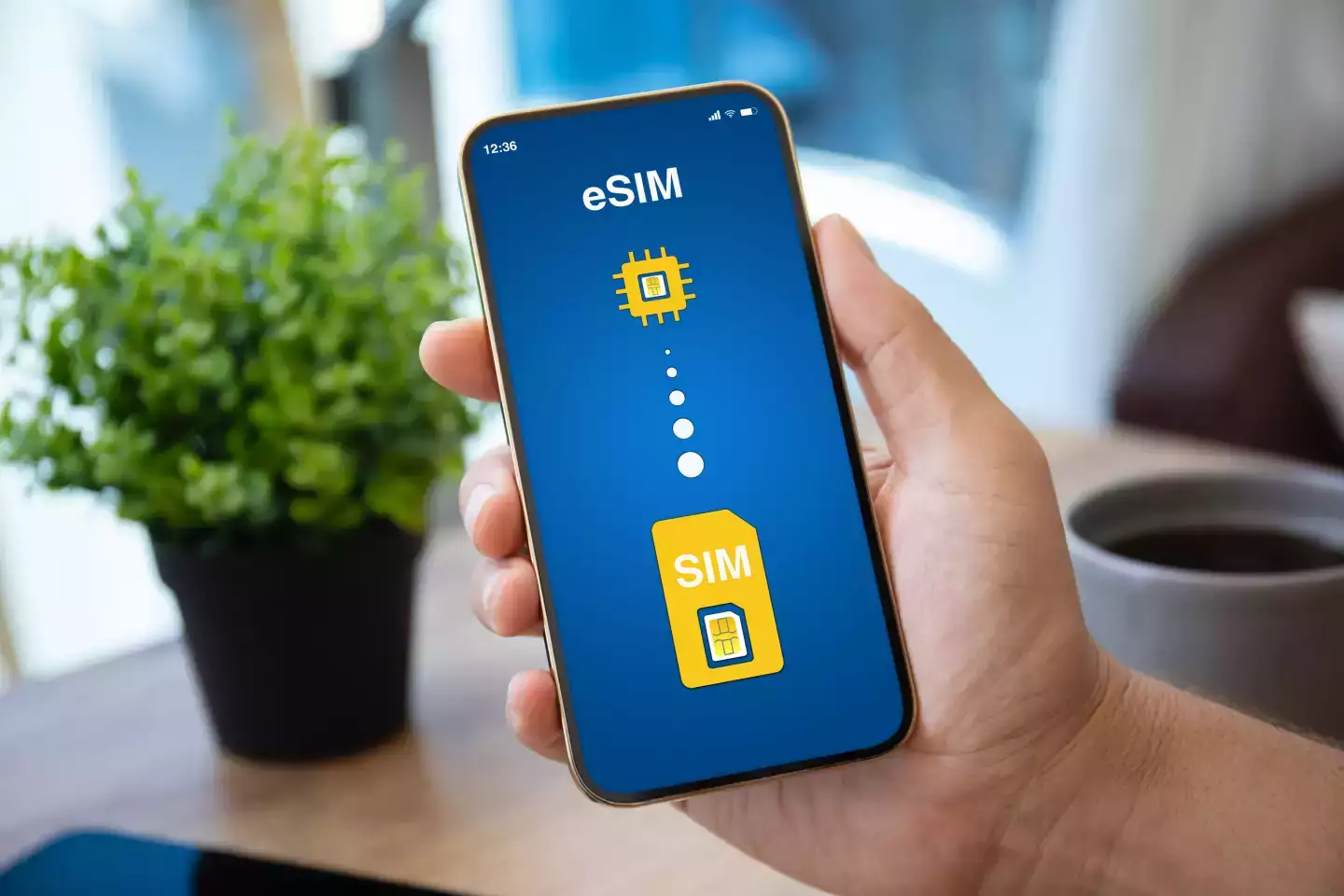 E-sim Brésil : comment connecter son smartphone lors d’un voyage au Brésil ?