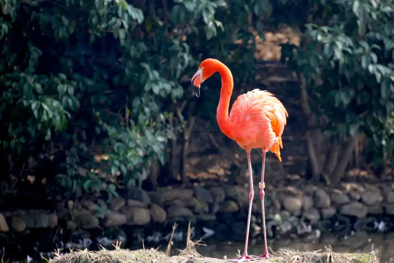 Camping proche du Zoo de Beauval : Découvrez les meilleures options
