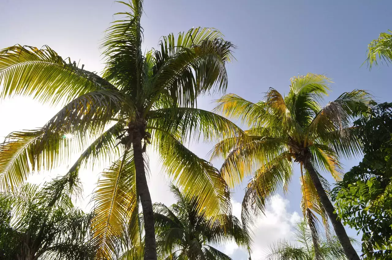 La Guadeloupe