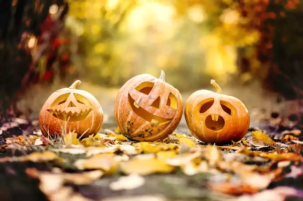 7 secrets d’initiés pour vivre Halloween à Disneyland comme un VIP