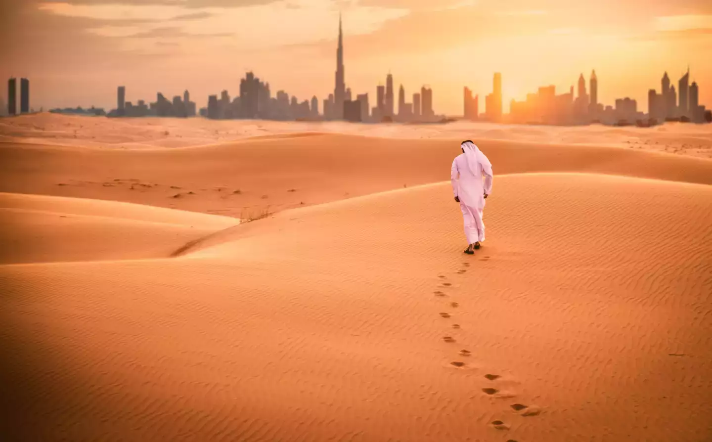 Dubaï : le vrai coût d'un safari dans le désert, souvent absent du prix affiché