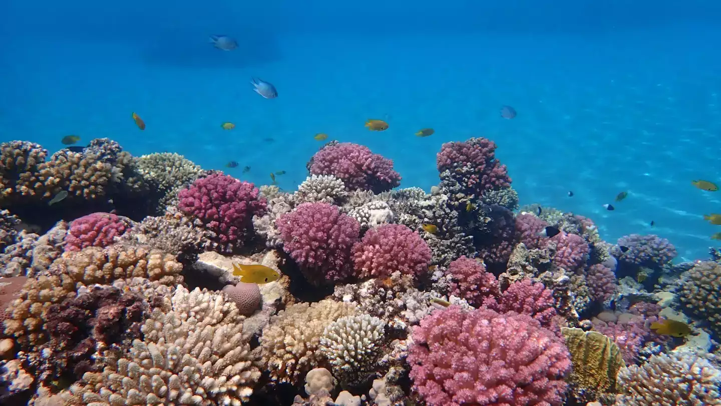 Hurghada egypte