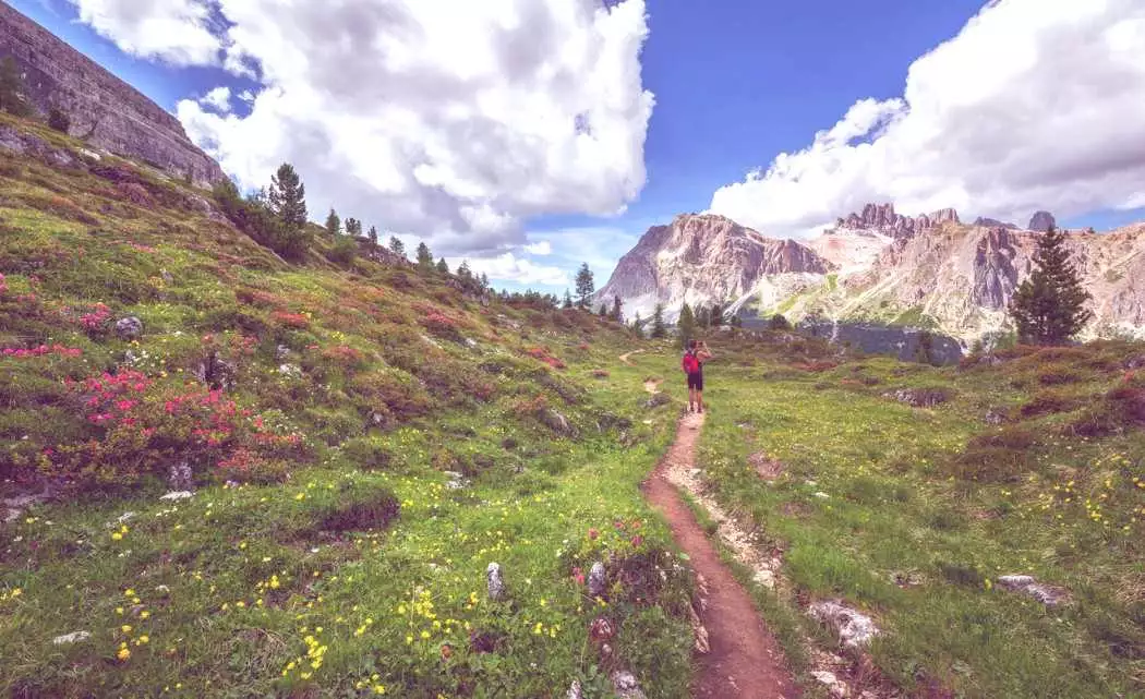 Essayez le trail running dans les Alpes françaises