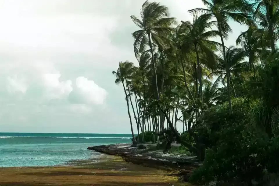 Les plages à proximité de Pointe-à-Pitre : où poser votre serviette ?
