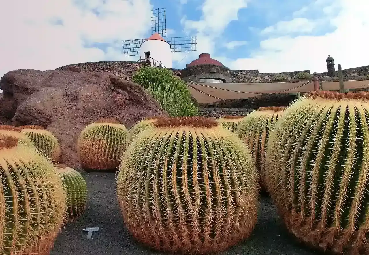 Quand Partir à Lanzarote ? Les Meilleures Périodes pour Visiter l'Île