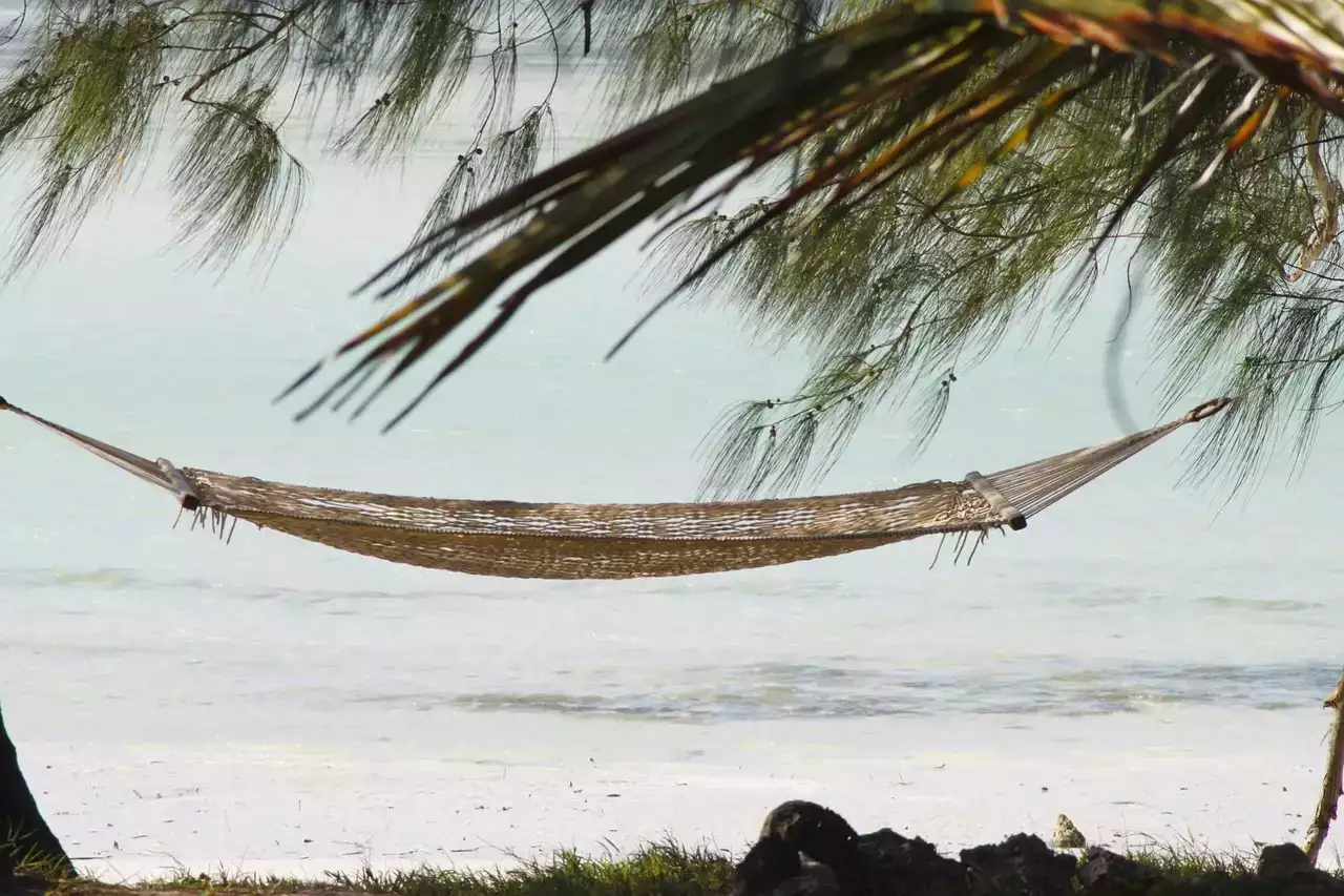 Séjour en Tanzanie
