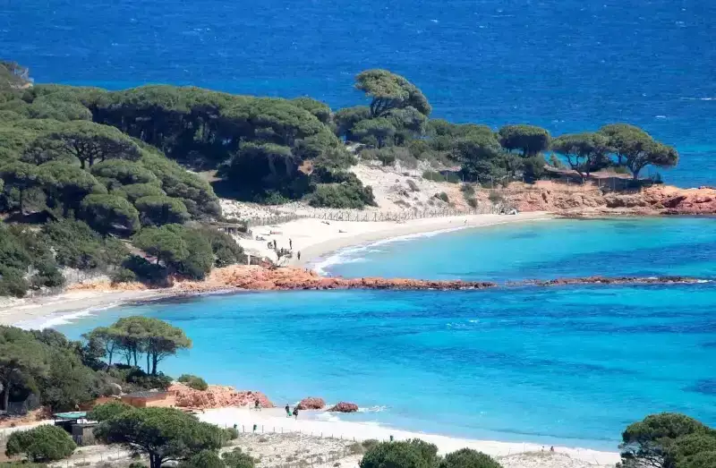 palombaggia plage
