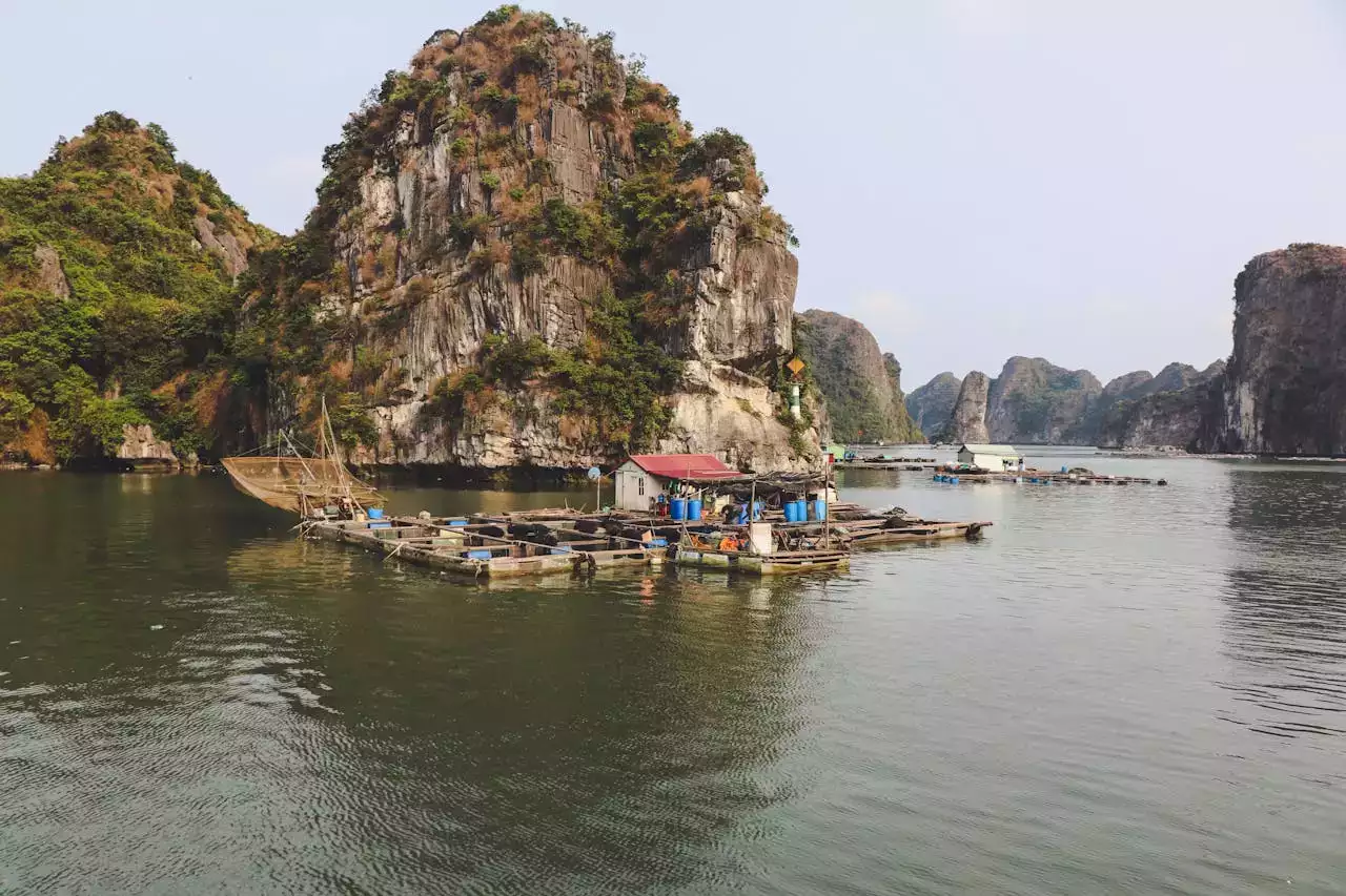 Circuit Vietnam Terre du Dragon : Découvrez les Merveilles du Vietnam