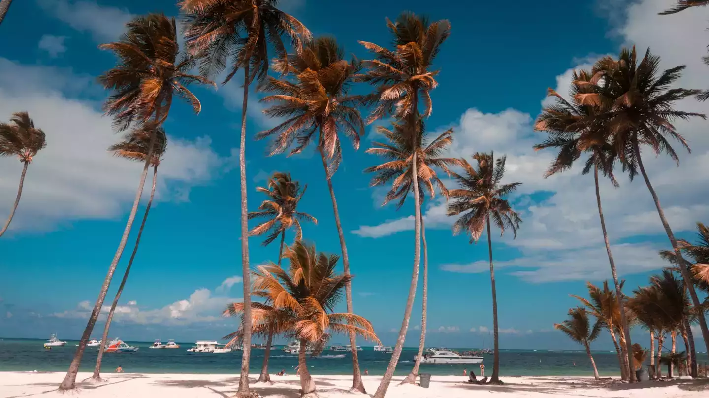 Partir en République Dominicaine en Janvier ? Ce qu'il faut retenir !