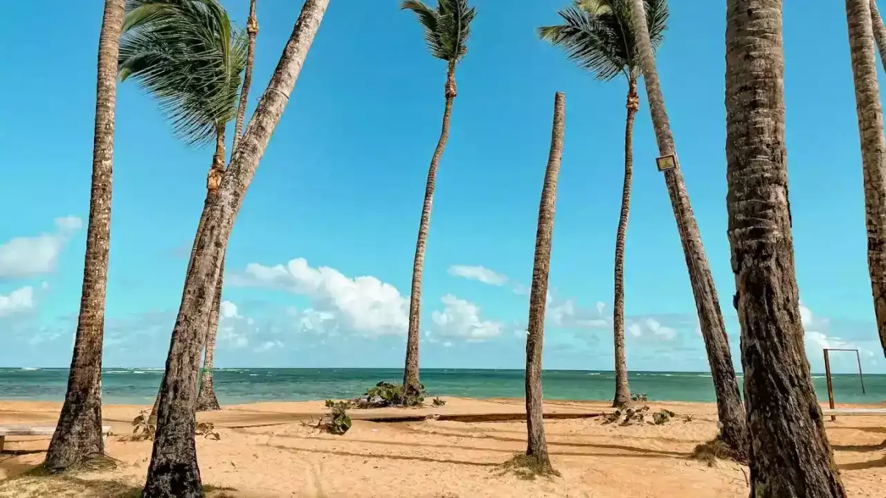 Partir en République Dominicaine en Décembre ? Ce qu'il faut retenir !