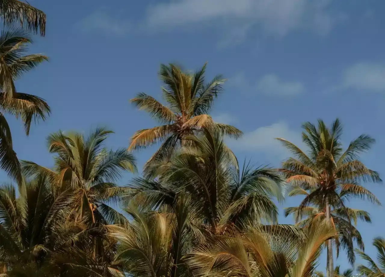 Partir en République Dominicaine en Avril ? Ce qu'il faut retenir !