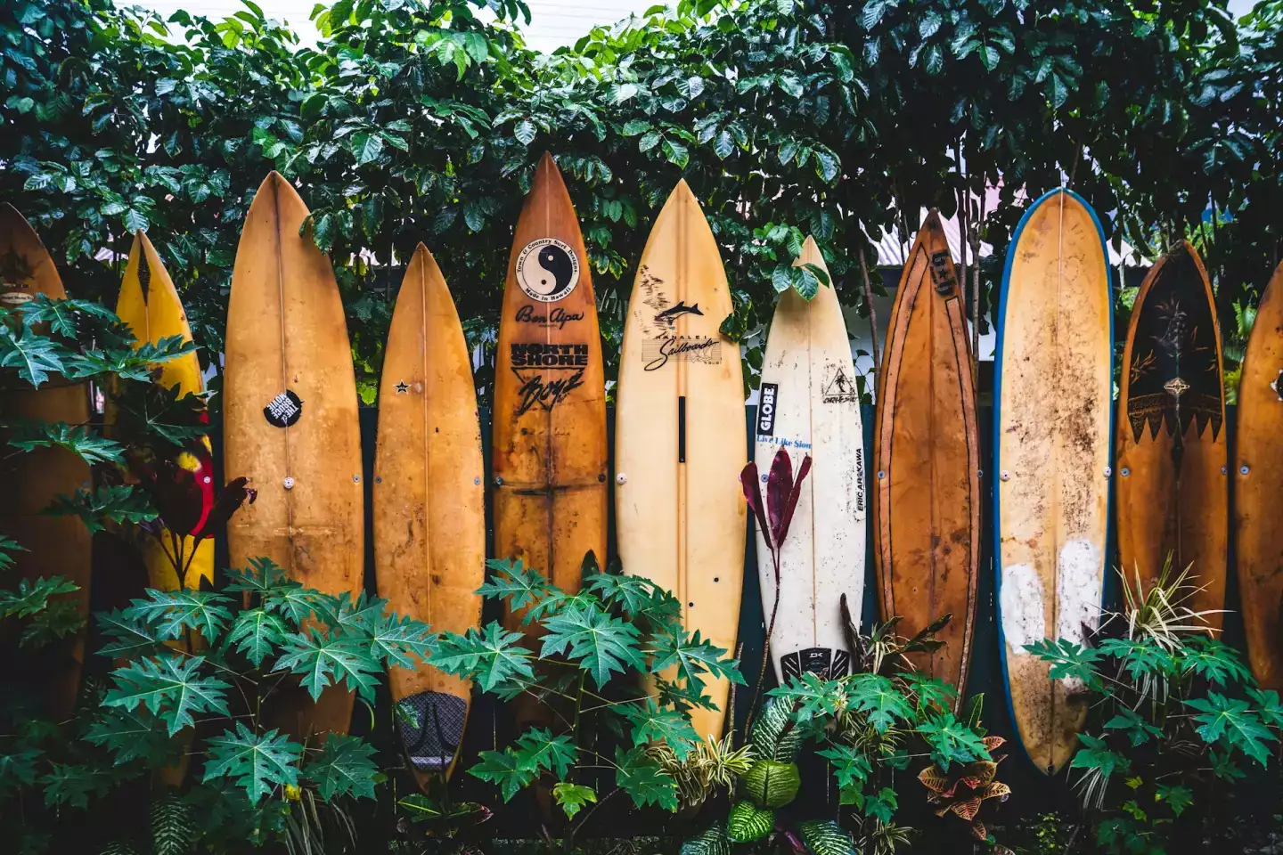 Les 5 spots de surf les plus sympas à connaître en Europe