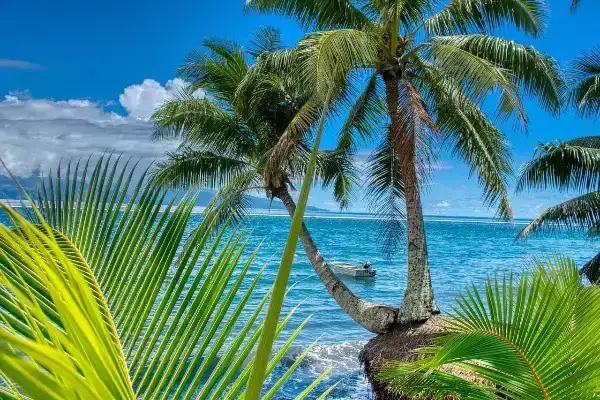 tahiti mer polynesie