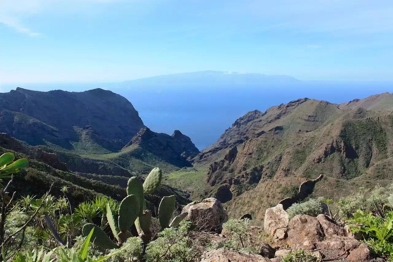 Canaries en Novembre : Bonne idée ou pas ? Voici notre avis