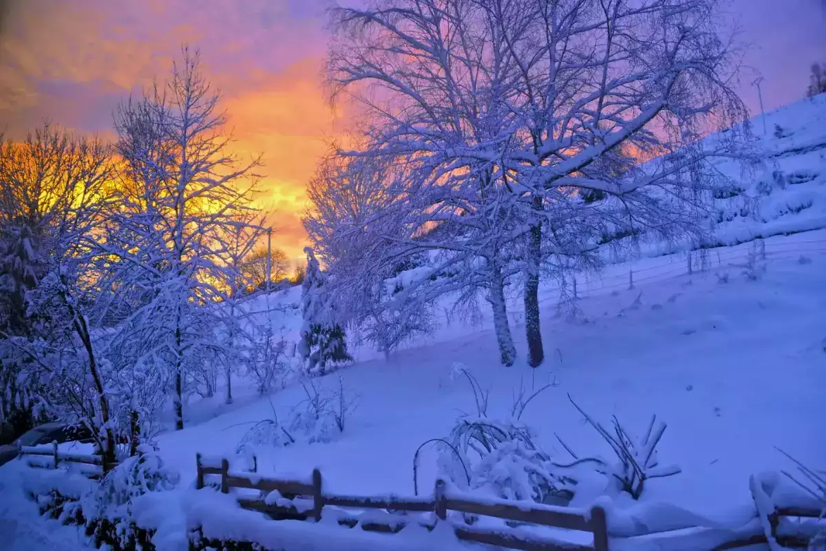 Vosges montagne neige hiver