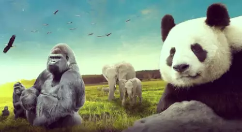 Tarifs Réduits au Zoo de Beauval : Guide Complet pour Profiter de Votre Visite