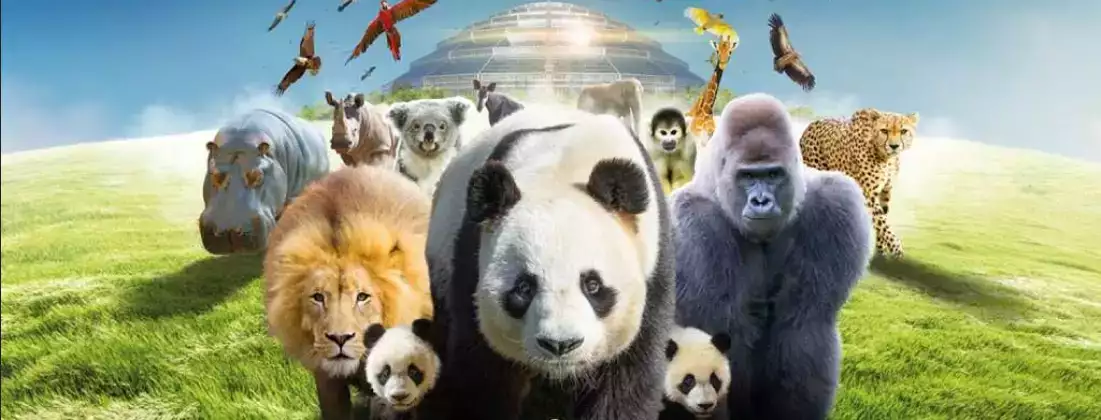 Hébergement au Zoo de Beauval : Guide Complet pour un Séjour Inoubliable