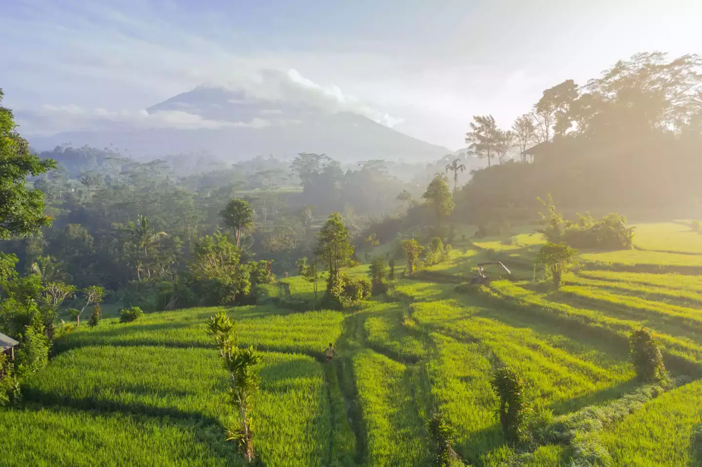 Partir à Bali au mois de Mars ? Ce qu'il faut retenir !