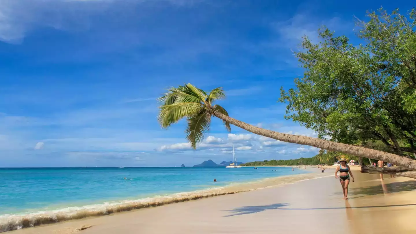 Roadtrip en Martinique, une façon authentique de découvrir l'île !