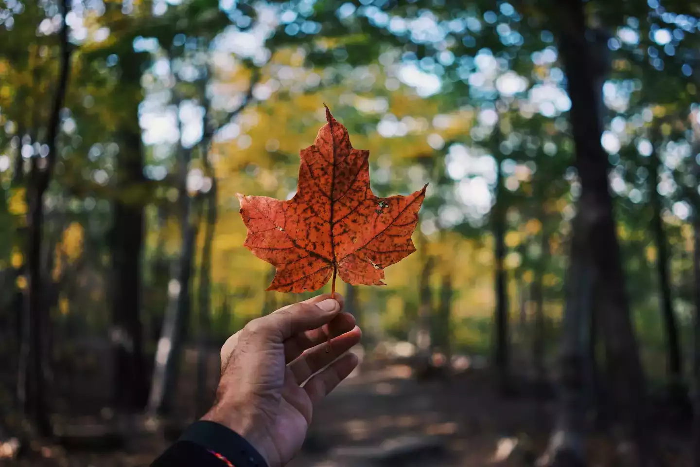 Québec : Top 3 des choses à faire à Charlevoix (été/hiver)