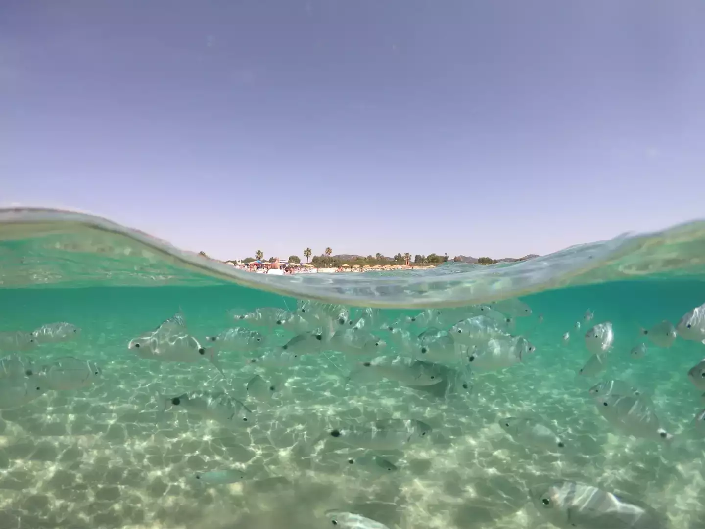 Partir en Sardaigne en Mai ? Ce qu'il faut retenir !