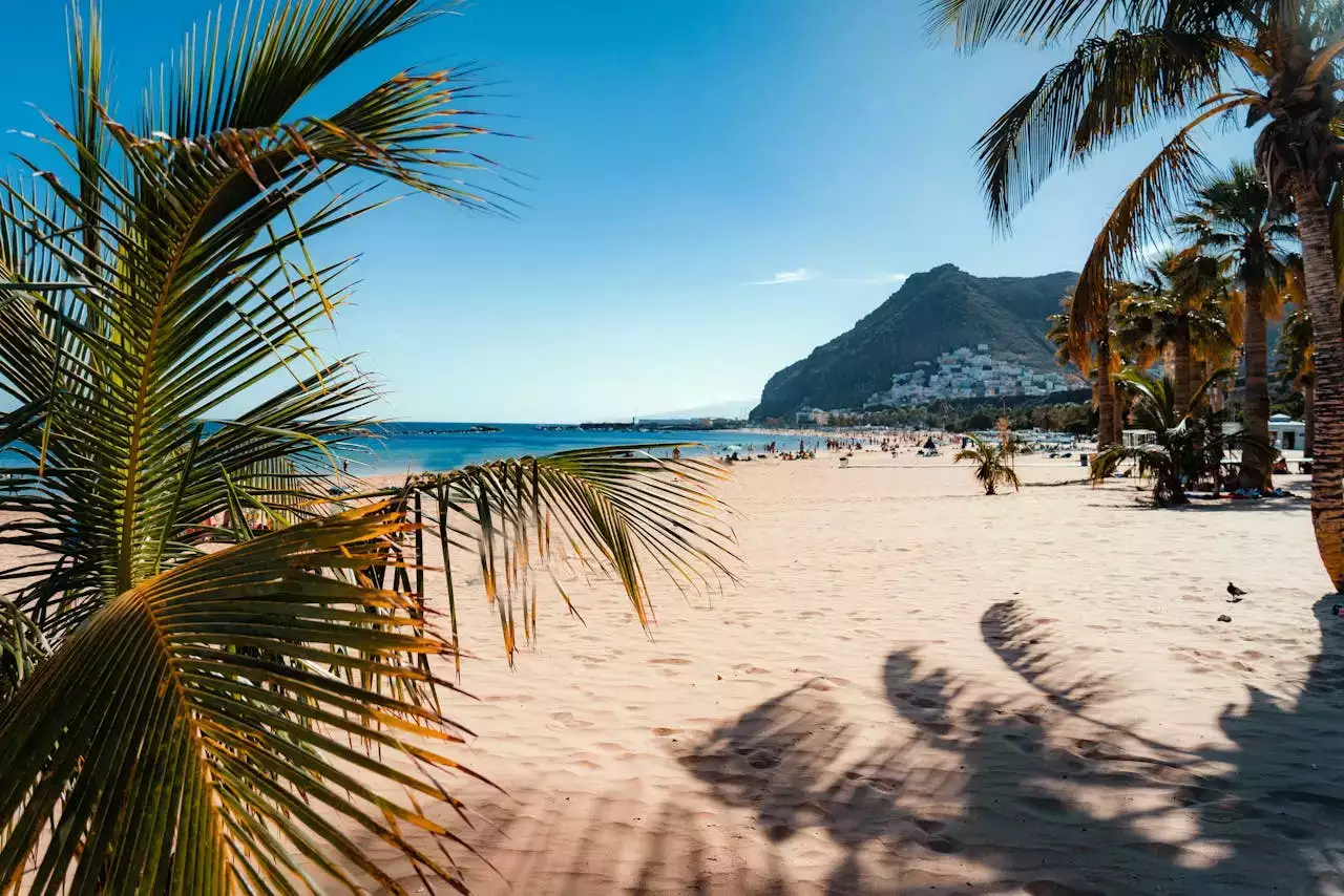 Partir à Tenerife en Avril ? Ce qu'il faut retenir !