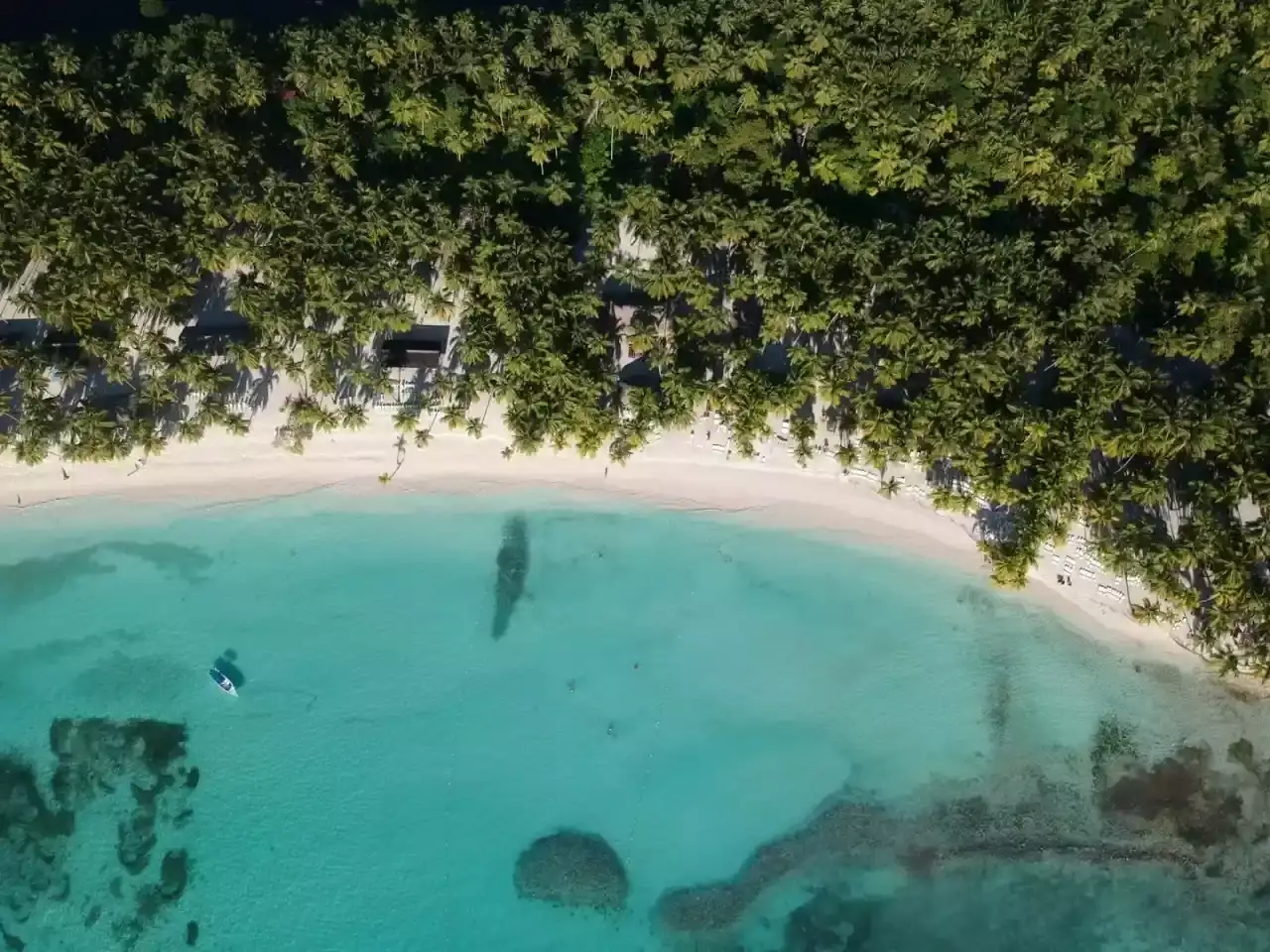 Punta Cana All Inclusive : Des Vacances Tout Compris aux Caraïbes