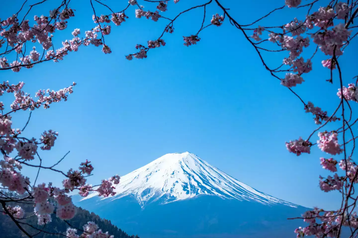 Budget voyage Japon : combien prévoir pour 10 jours ?