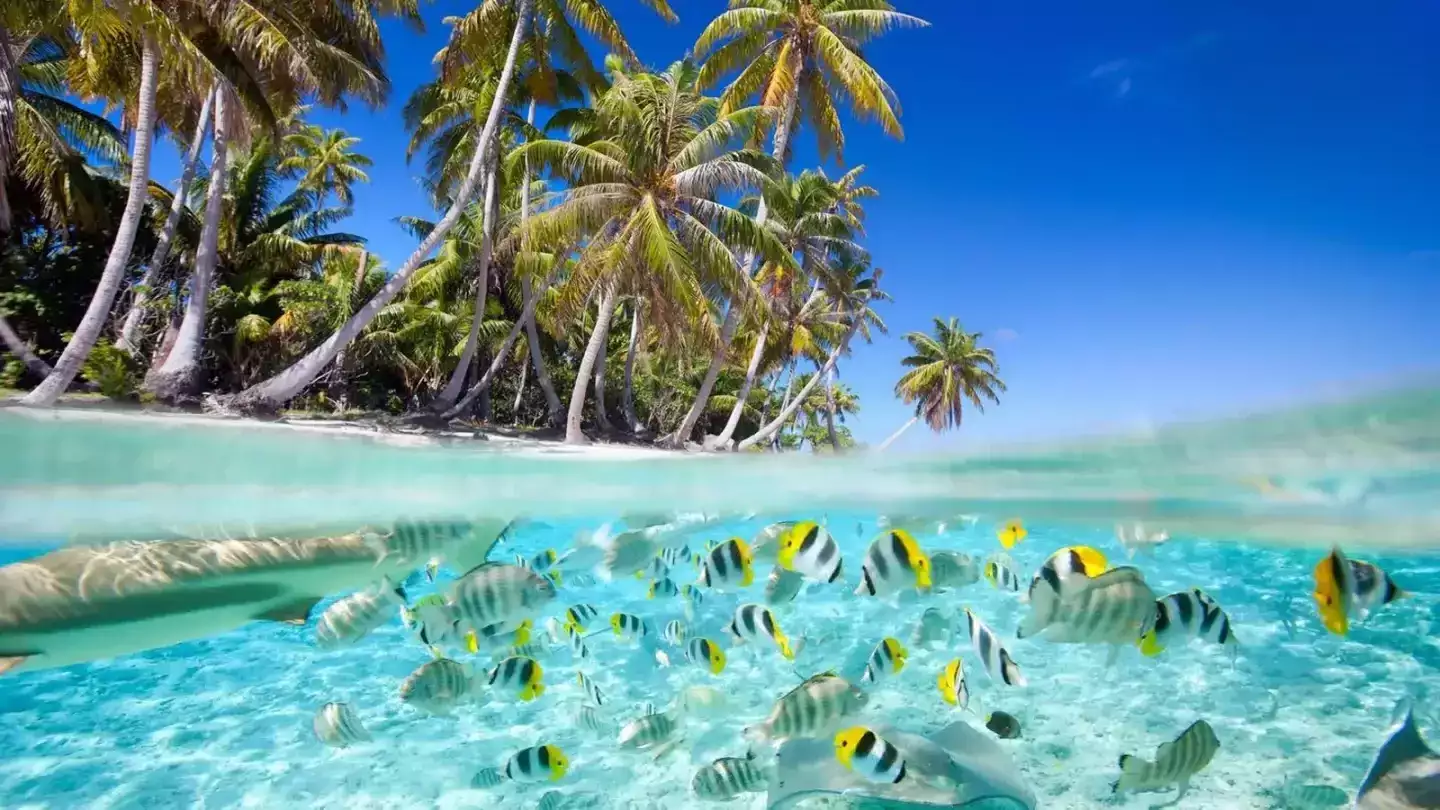 Maldives pas chères : c’est possible en 2026