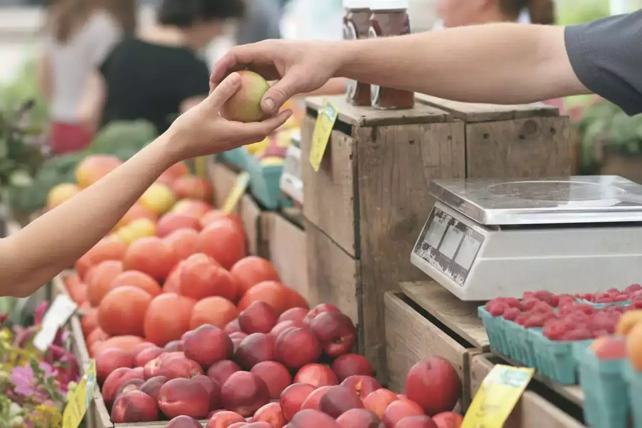 Les marchés de l'Île de Ré : où trouver les produits locaux ?