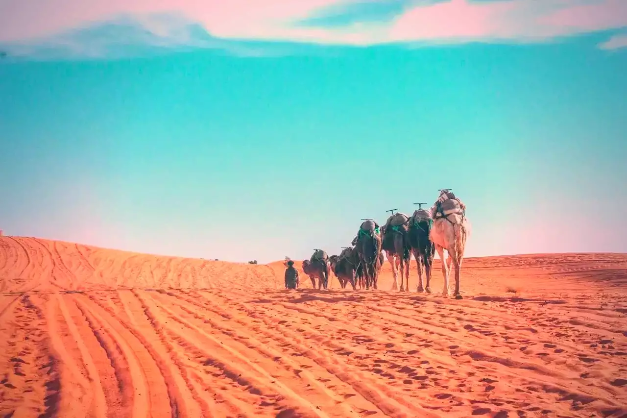 Tunisie vs Maroc Tout Compris : Comparatif Complet