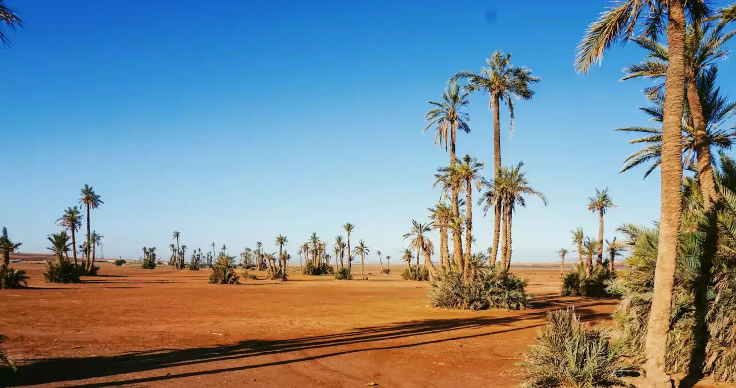 Vacances tout compris dans la Palmeraie : détente, activités et confort au Club Madina