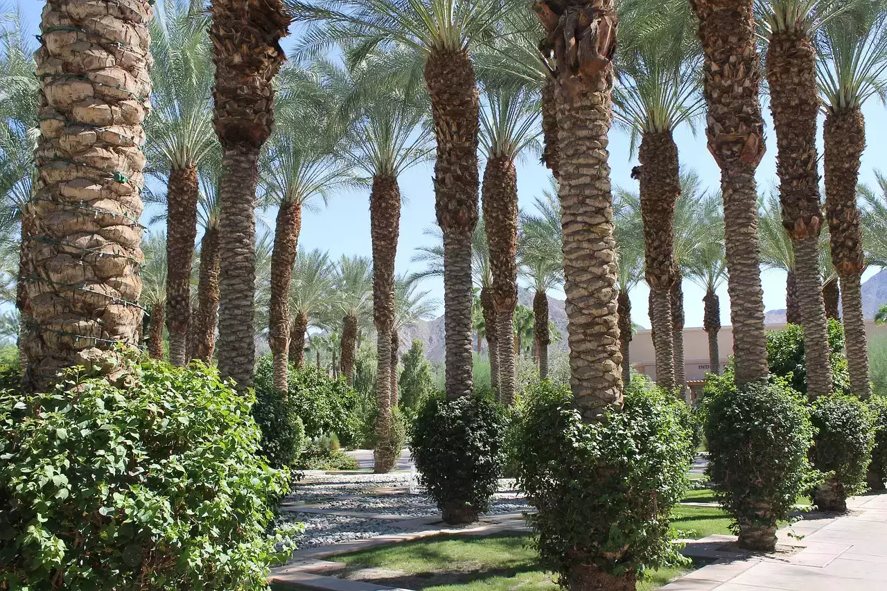 parc Marrakech