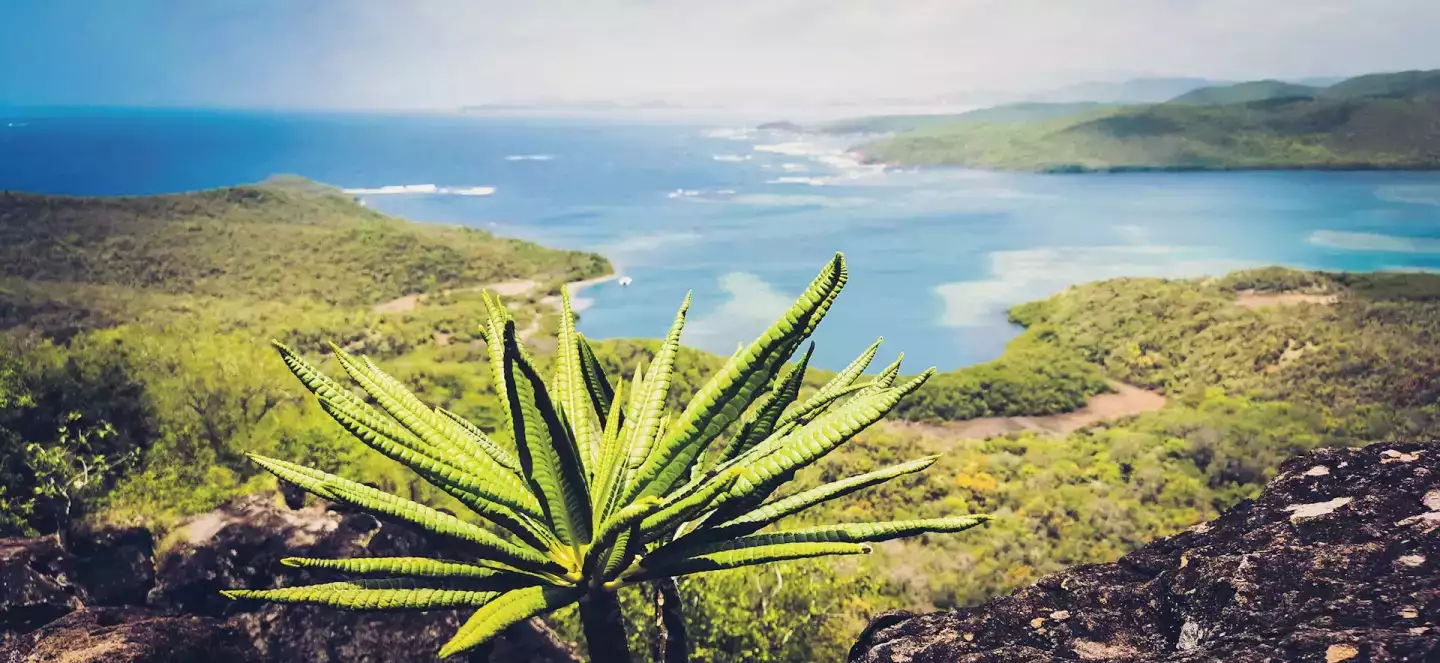 Martinique paysage