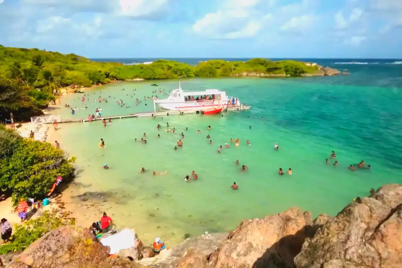 Martinique ou Guadeloupe avis : les retours d'expérience pour bien choisir
