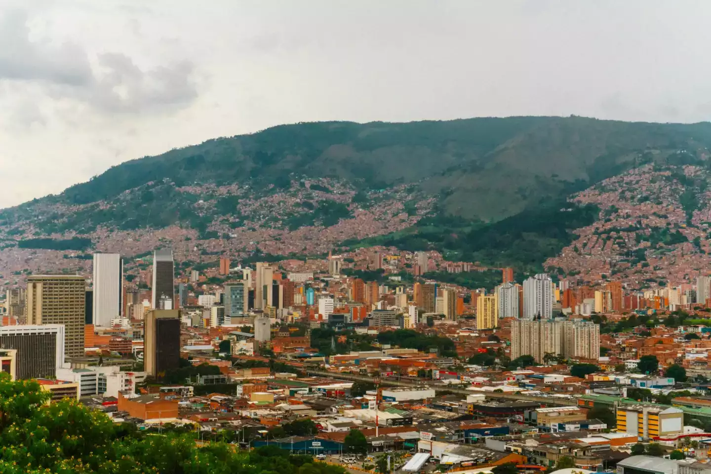 medellin