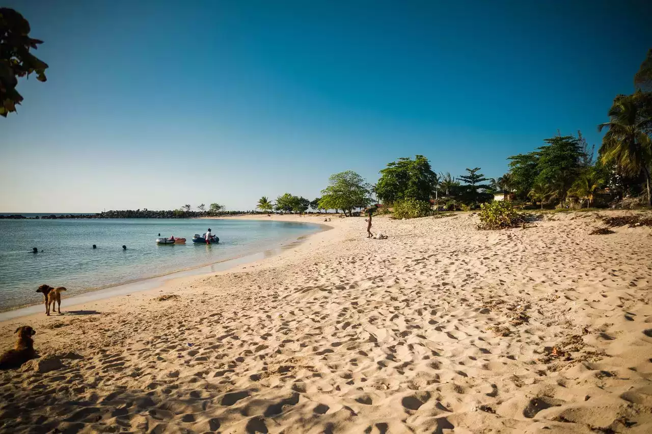Montego Bay ou Negril : quelle zone choisir pour un premier séjour en Jamaïque ?