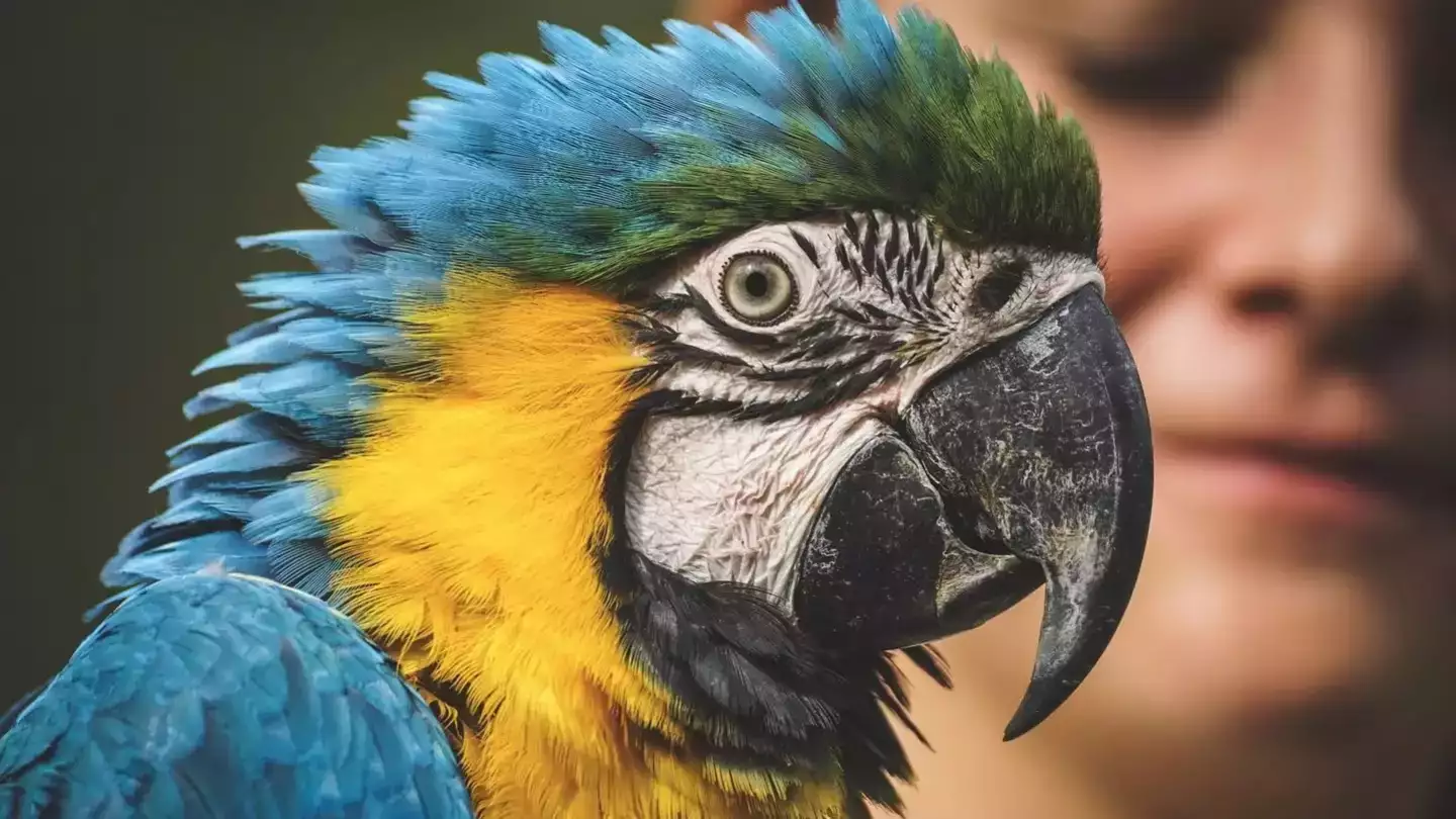 Beauval : le coin méconnu du zoo que tout le monde devrait voir