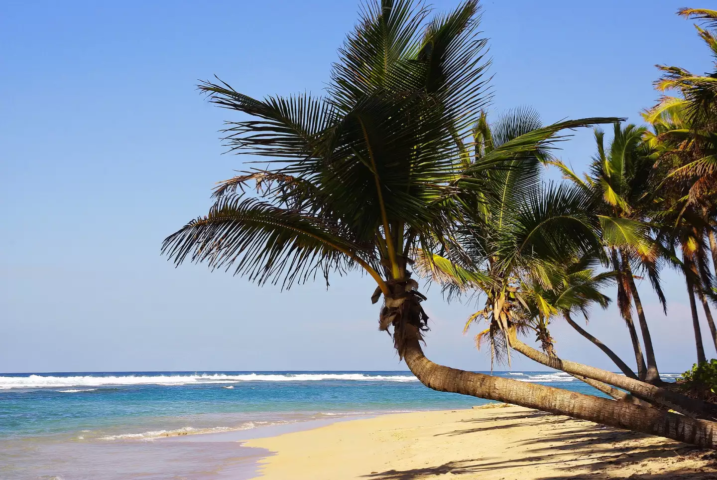 République dominicaine Punta Cana