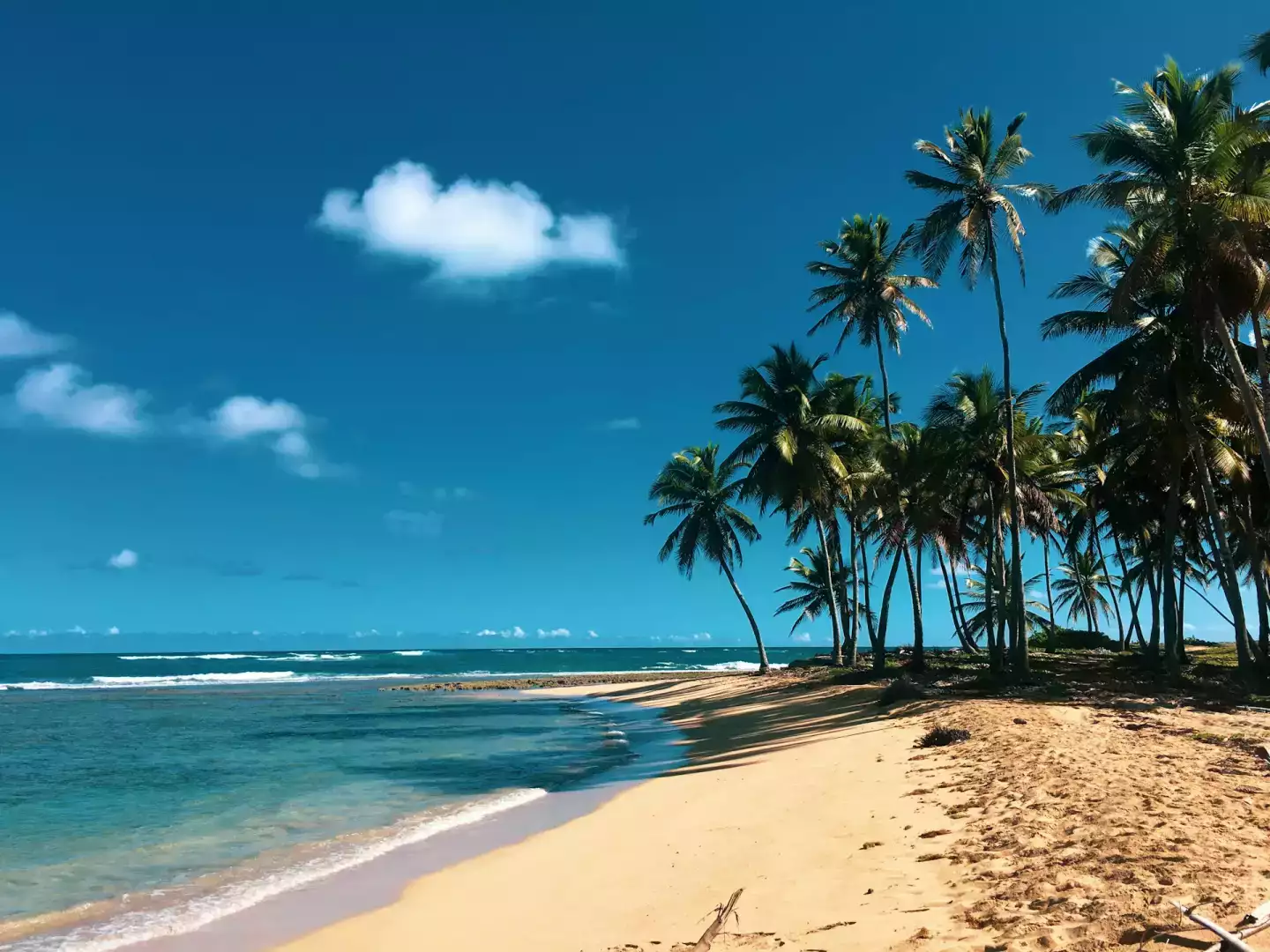 Quand partir en République dominicaine ? Voici les meilleures périodes