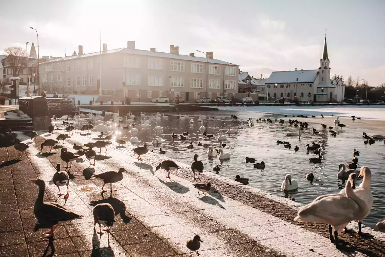 Reykjavik, Iceland